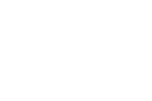 Feusi